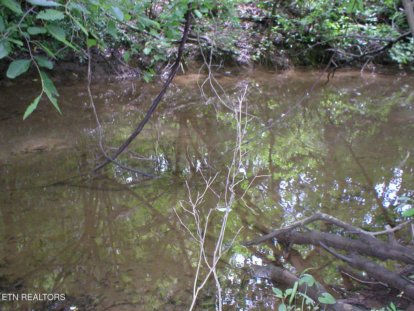 East Cove PIc 8