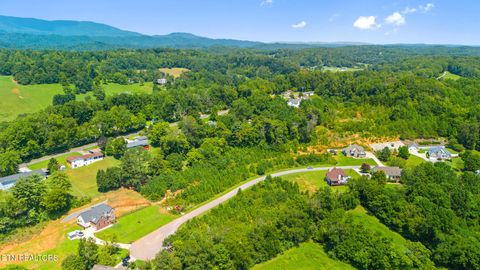 Tiny photo for 16 Jessica Lane, Clinton, TN 37716 (MLS # 1315790)