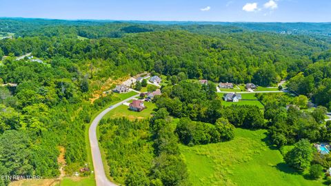 Tiny photo for 16 Jessica Lane, Clinton, TN 37716 (MLS # 1315790)