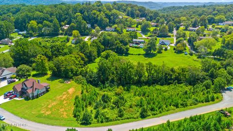 Tiny photo for 16 Jessica Lane, Clinton, TN 37716 (MLS # 1315790)