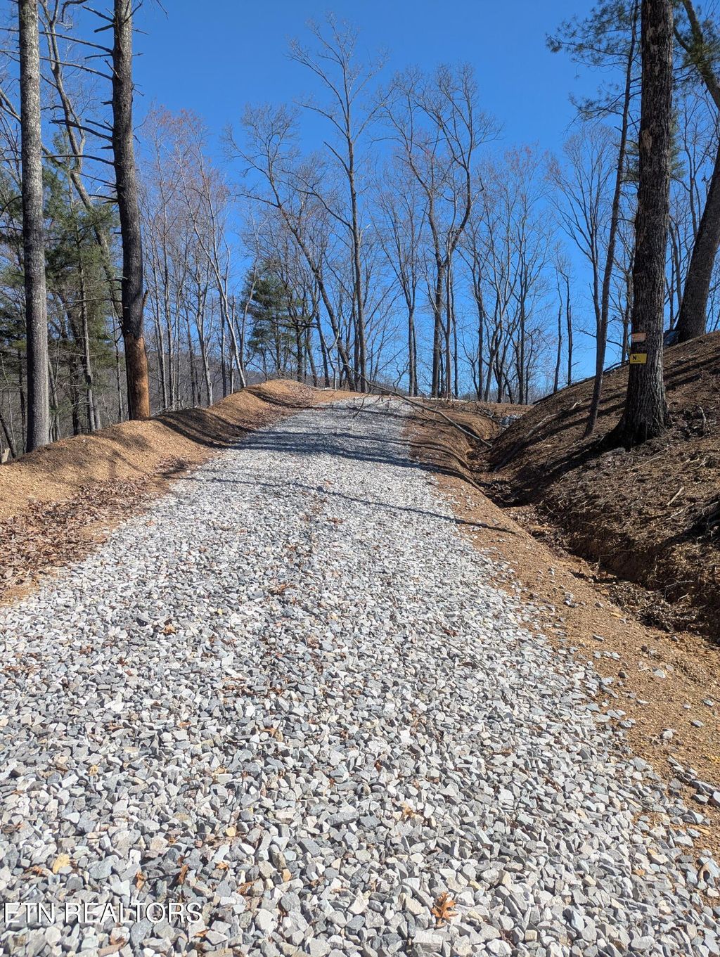 Photo of 273 Balfour Drive, Harriman, TN 37748 (MLS # 1295141)