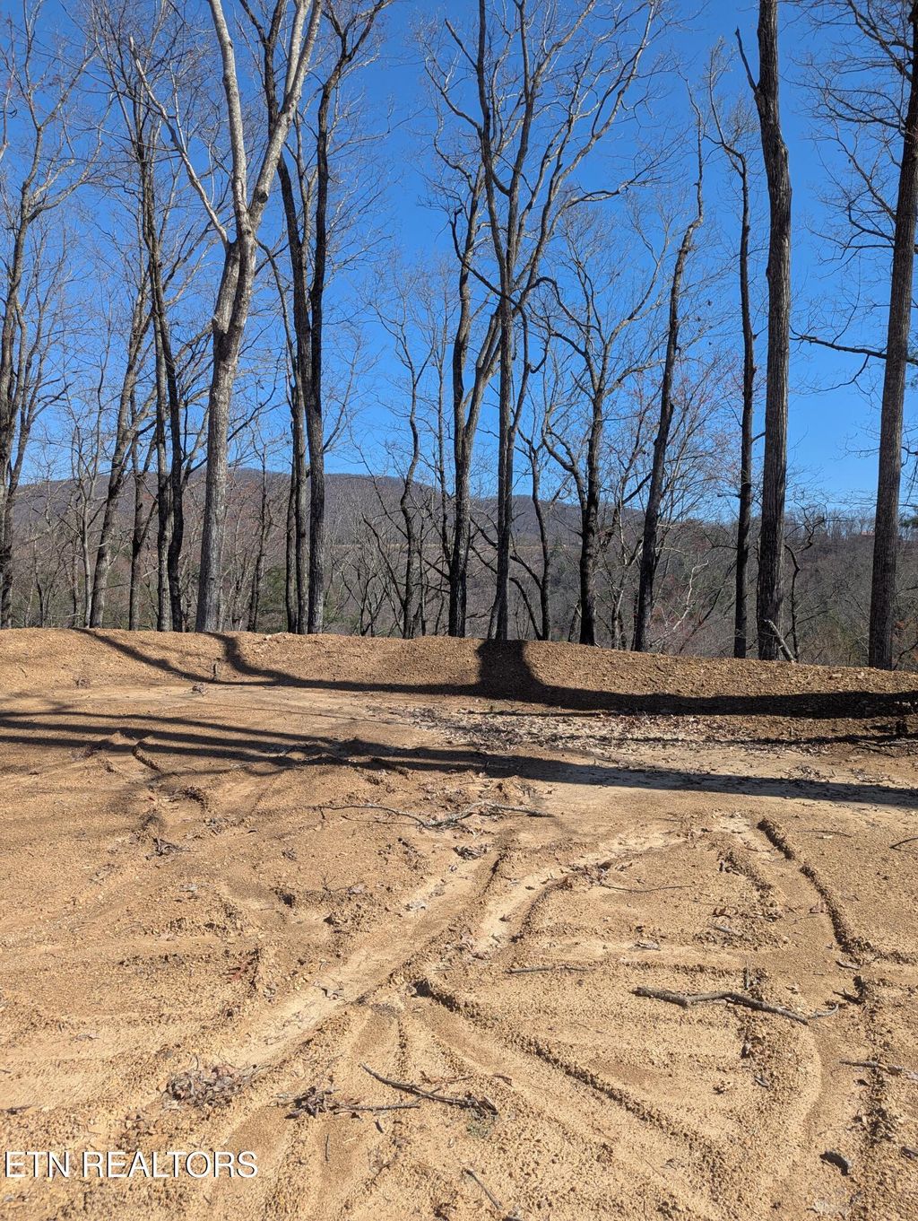 Photo of 273 Balfour Drive, Harriman, TN 37748 (MLS # 1295141)