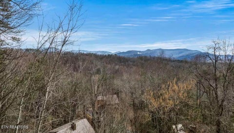 Tiny photo for 1020 Ski View Lane, Sevierville, TN 37876 (MLS # 1341394)