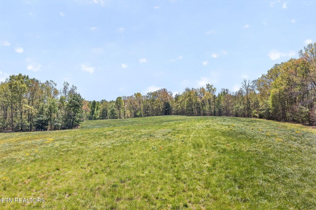 Photo of 6 Smith Mountain Rd, Rockwood, TN 37854 (MLS # 1337614)
