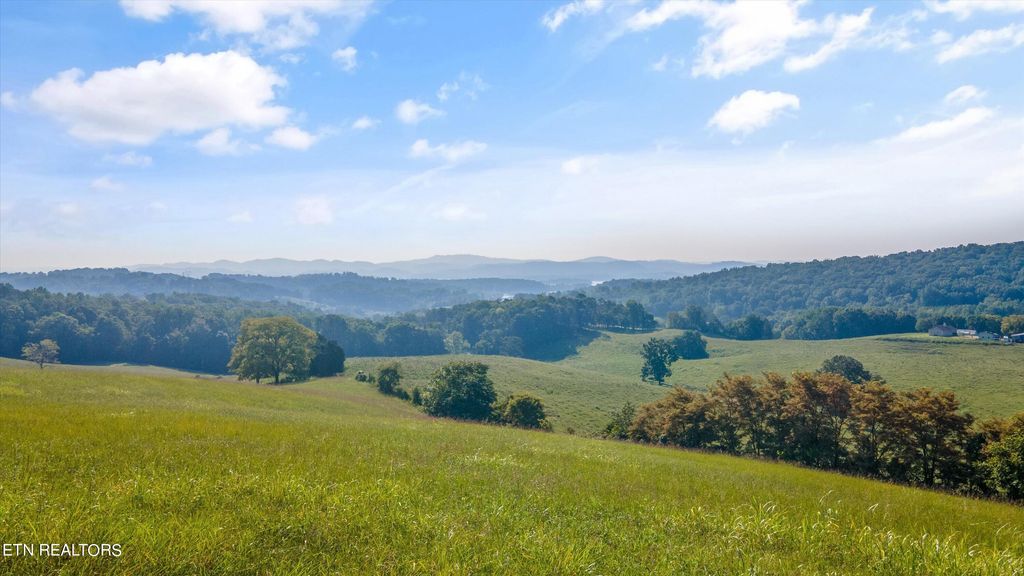 Photo of 1 Hugh Cameron Road, Rutledge, TN 37861 (MLS # 1274590)