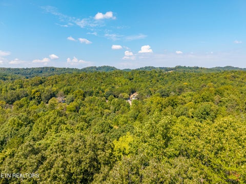 Tiny photo for 832 Big Creek Rd, Madisonville, TN 37354 (MLS # 1356168)