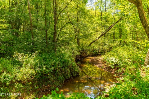 Tiny photo for 832 Big Creek Rd, Madisonville, TN 37354 (MLS # 1356168)