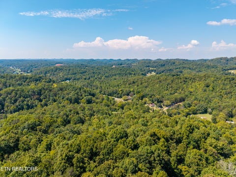 Tiny photo for 832 Big Creek Rd, Madisonville, TN 37354 (MLS # 1356168)