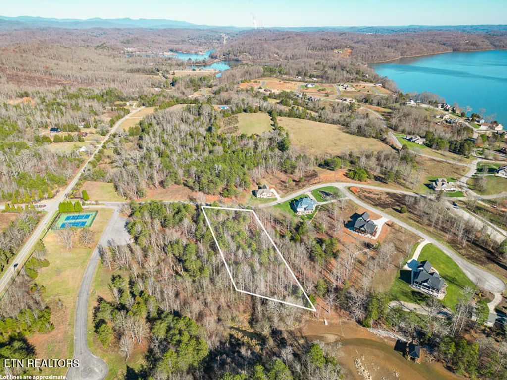 Photo of 210 Serenity Drive, Harriman, TN 37748 (MLS # 1312086)