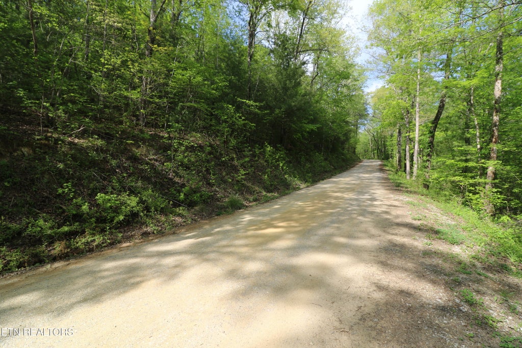Photo of 669 Low Gap Rd, Helenwood, TN 37755 (MLS # 1358628)