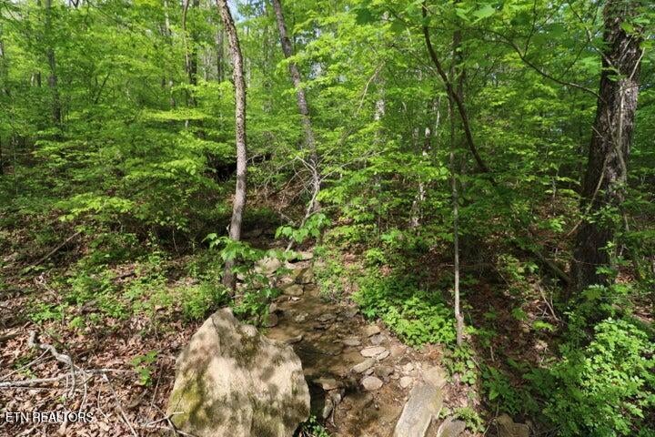 669 Low Gap Rd