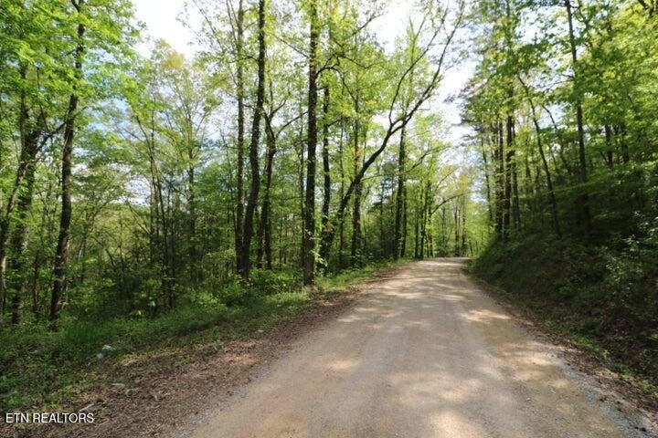 669 Low Gap Rd