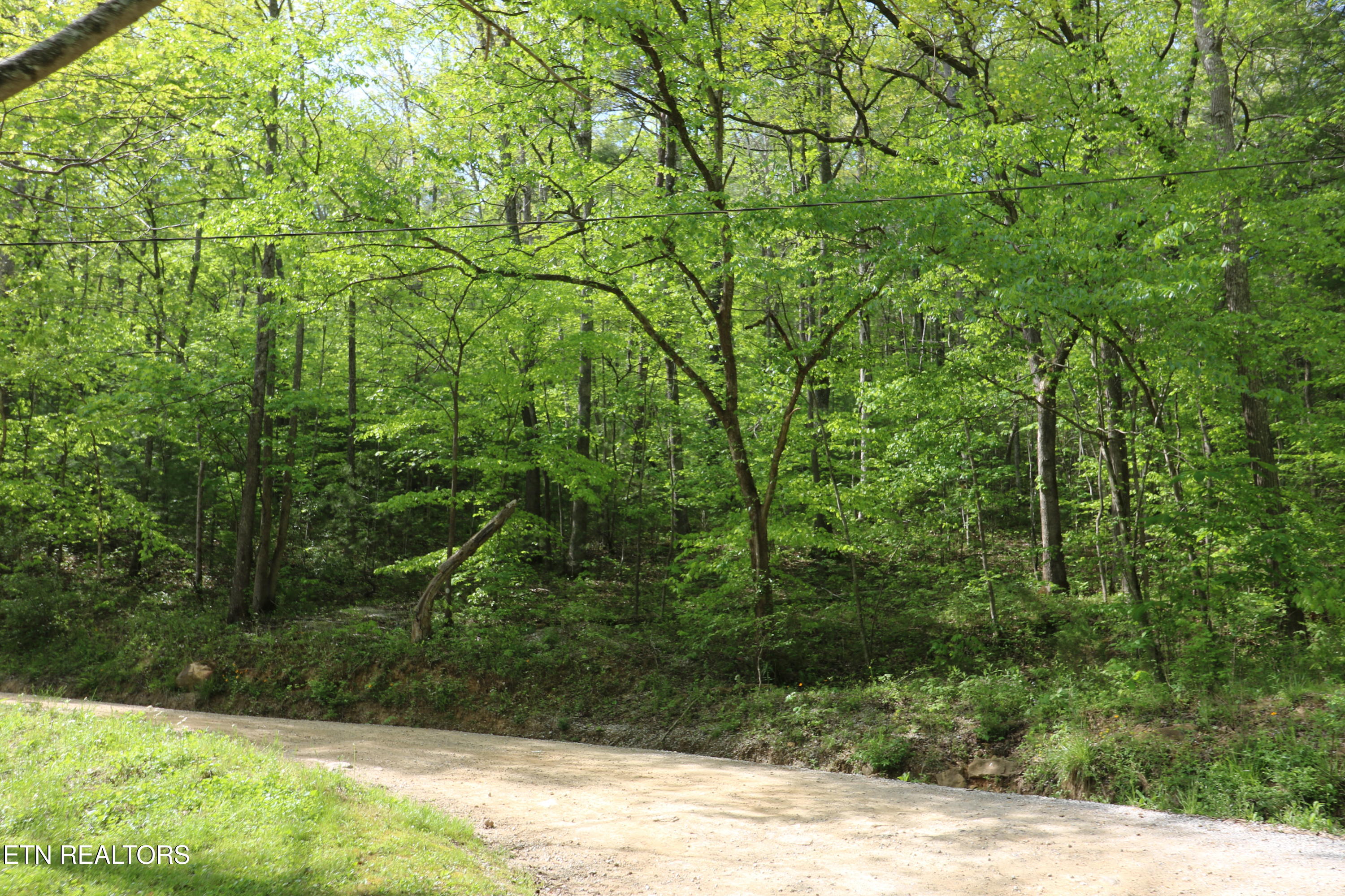 669 Low Gap Rd