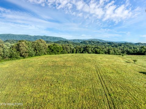 2102 Calderwood Hwy Maryville TN 37801