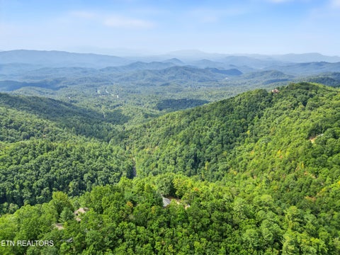 Tiny photo for 1001 Old Laurel Lane, Sevierville, TN 37876 (MLS # 1356097)