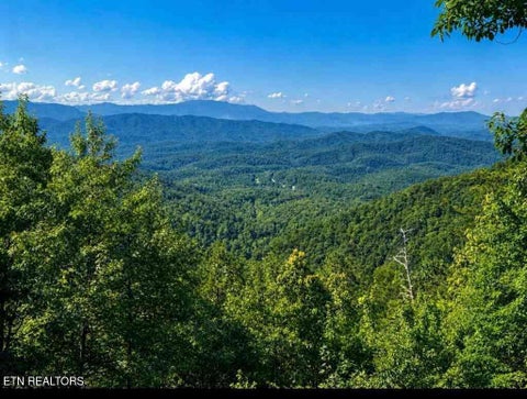 Tiny photo for 1001 Old Laurel Lane, Sevierville, TN 37876 (MLS # 1356097)