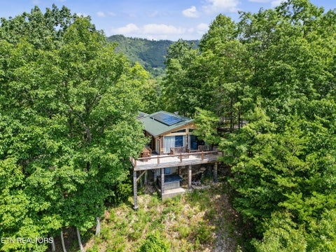 Tiny photo for 1001 Old Laurel Lane, Sevierville, TN 37876 (MLS # 1356097)