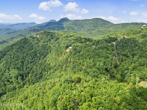 Tiny photo for 1001 Old Laurel Lane, Sevierville, TN 37876 (MLS # 1356097)