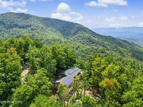 Tiny photo for 1001 Old Laurel Lane, Sevierville, TN 37876 (MLS # 1356097)