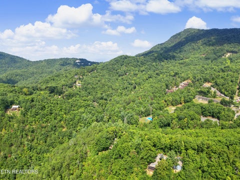 Tiny photo for 1001 Old Laurel Lane, Sevierville, TN 37876 (MLS # 1356097)