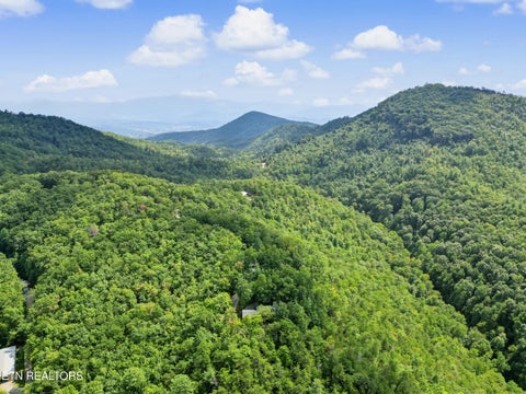 Tiny photo for 1001 Old Laurel Lane, Sevierville, TN 37876 (MLS # 1356097)