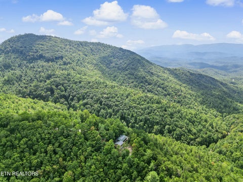 Tiny photo for 1001 Old Laurel Lane, Sevierville, TN 37876 (MLS # 1356097)