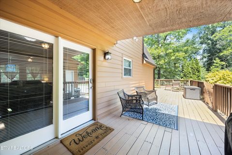 247 Lakeview Lane Andersonville TN 37705