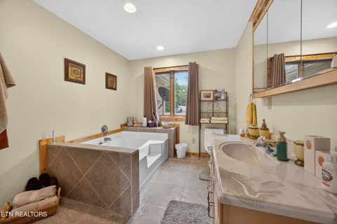 Tiny photo for 241 Hidden Cove Lane, Allons, TN 38541 (MLS # 1341569)