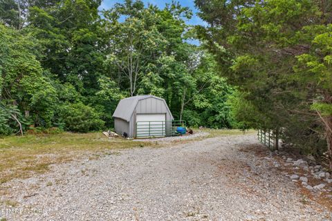 Tiny photo for 241 Hidden Cove Lane, Allons, TN 38541 (MLS # 1341569)