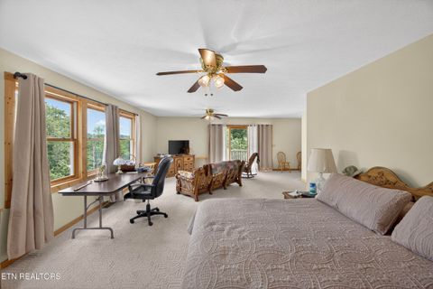 Tiny photo for 241 Hidden Cove Lane, Allons, TN 38541 (MLS # 1341569)