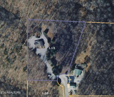 Tiny photo for 241 Hidden Cove Lane, Allons, TN 38541 (MLS # 1341569)