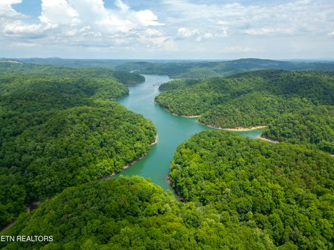 Tiny photo for 241 Hidden Cove Lane, Allons, TN 38541 (MLS # 1341569)