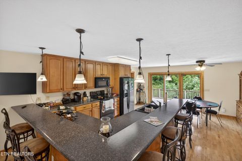 Tiny photo for 241 Hidden Cove Lane, Allons, TN 38541 (MLS # 1341569)
