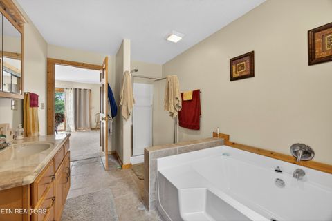 Tiny photo for 241 Hidden Cove Lane, Allons, TN 38541 (MLS # 1341569)