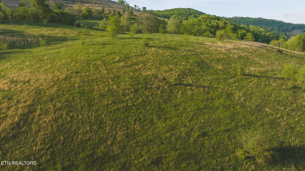 Photo of 12 Big Springs Rd, Eidson, TN 37731 (MLS # 1345638)