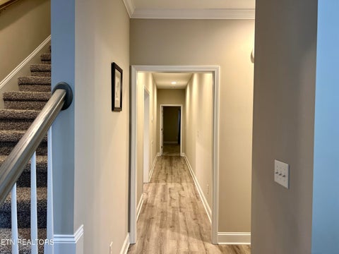 Tiny photo for 109 E Elderberry St, Oak Ridge, TN 37830 (MLS # 1323791)