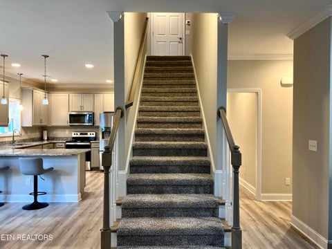 Tiny photo for 109 E Elderberry St, Oak Ridge, TN 37830 (MLS # 1323791)