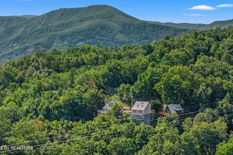 Tiny photo for 1839 Zurich Court Ct, Gatlinburg, TN 37738 (MLS # 1317486)