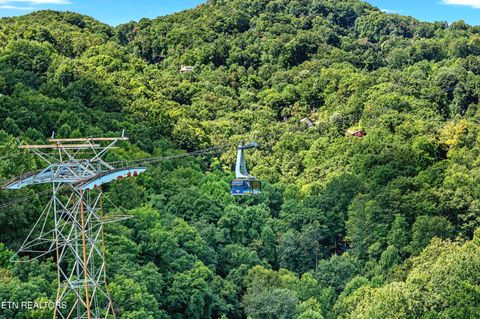 Tiny photo for 1839 Zurich Court Ct, Gatlinburg, TN 37738 (MLS # 1317486)