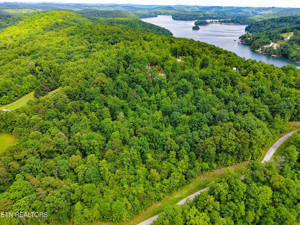 Photo of E Dogwood Tr, LaFollette, TN 37766 (MLS # 1326893)