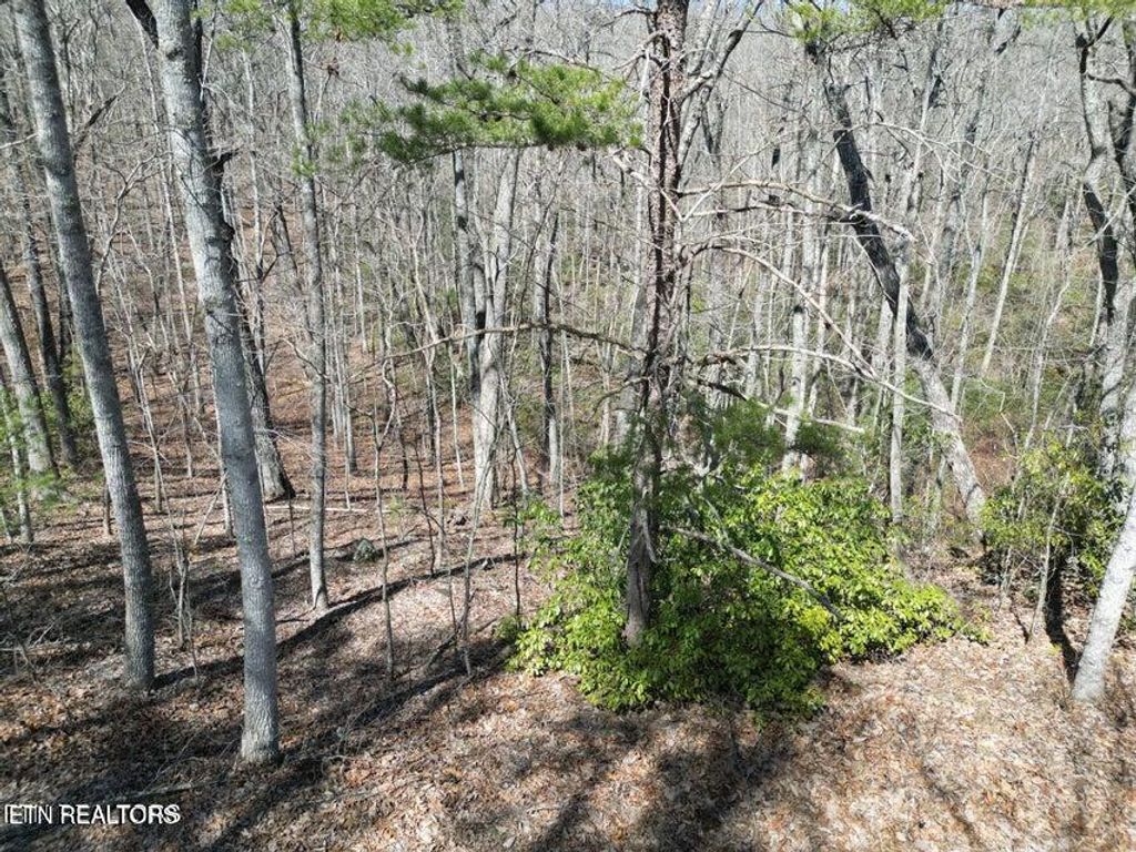 Photo of 607 St George Drive, Crossville, TN 38558 (MLS # 1334021)