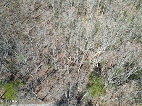 Photo of 607 St George Drive, Crossville, TN 38558 (MLS # 1334021)