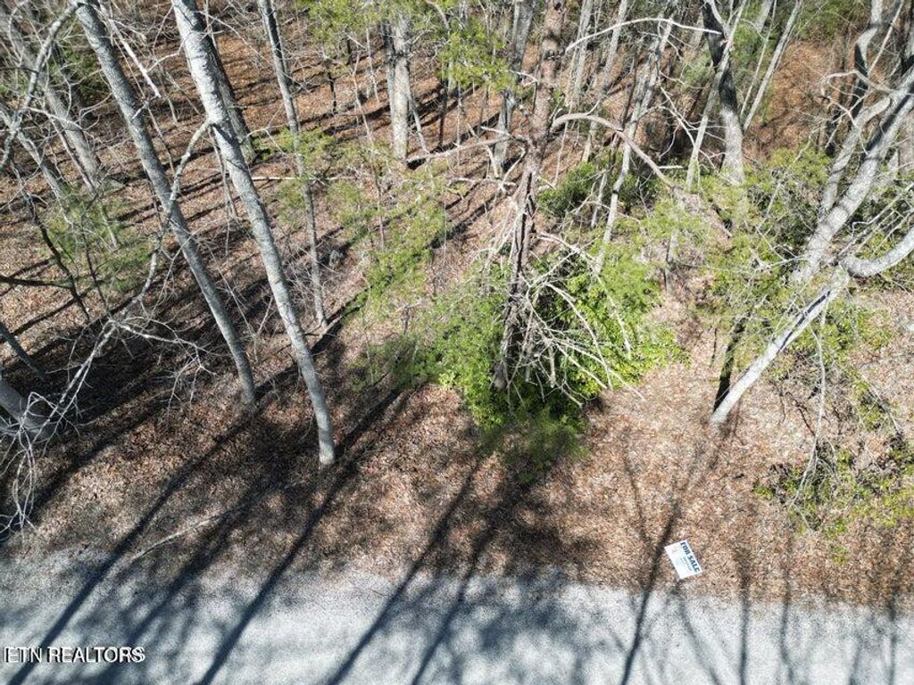 Photo of 607 St George Drive, Crossville, TN 38558 (MLS # 1334021)