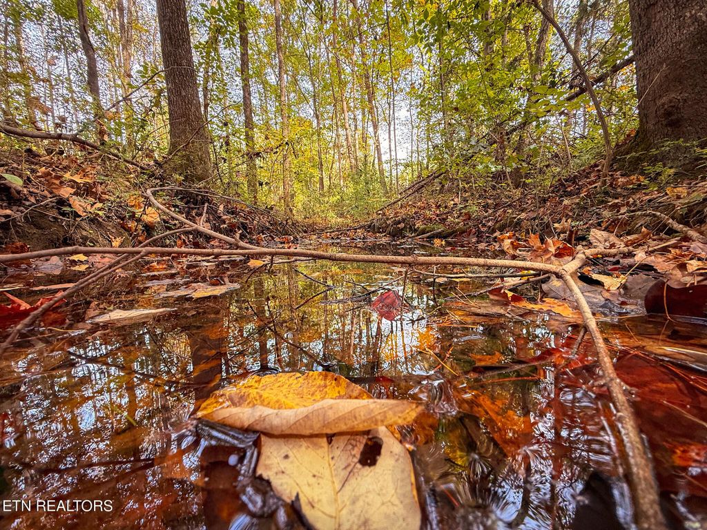 Photo of County Road 475, Etowah, TN 37331 (MLS # 1319958)