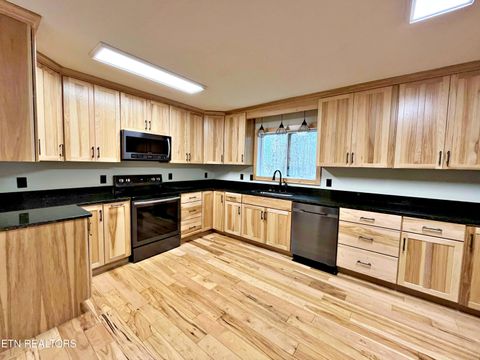 Tiny photo for 195 County Road 71, Riceville, TN 37370 (MLS # 1325882)