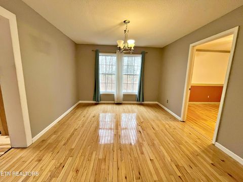 Tiny photo for 195 County Road 71, Riceville, TN 37370 (MLS # 1325882)