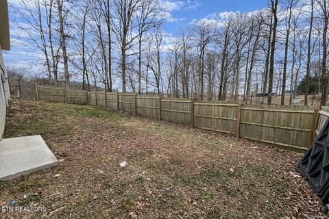 Tiny photo for 195 County Road 71, Riceville, TN 37370 (MLS # 1325882)