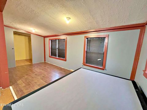 Tiny photo for 195 County Road 71, Riceville, TN 37370 (MLS # 1325882)