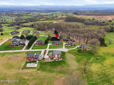 Tiny photo for 4028 Eagles View Court, Morristown, TN 37813 (MLS # 1334949)