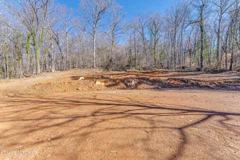 Tiny photo for 4016 Guinn Rd, Knoxville, TN 37931 (MLS # 1331584)